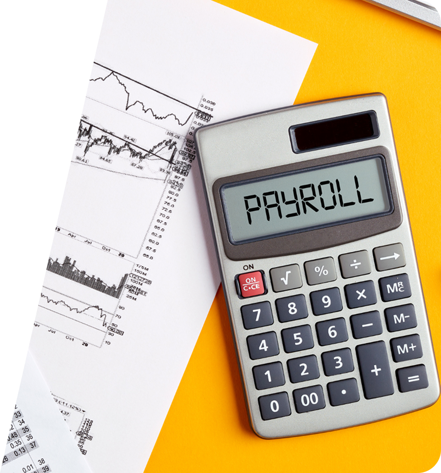 Payroll Services for a limited companies